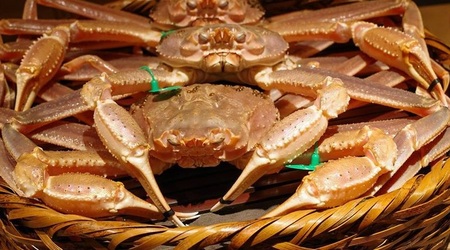 taiza-crab 1.jpg